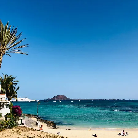 Golden Wave 코라레호